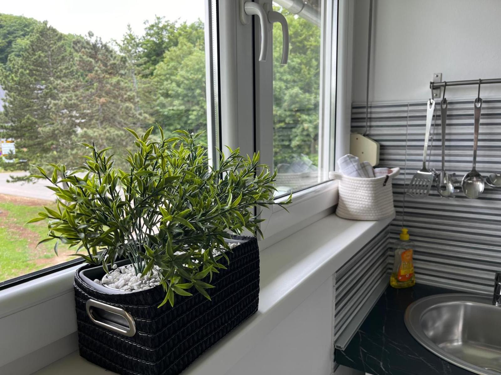 Eva Luxury Rooms & Apartments Plitvicka Jezera Exterior photo